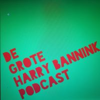 De Grote Harry Bannink Podcast cover