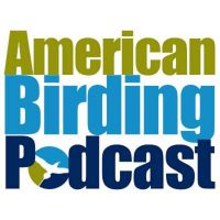 American Birding Podcast cover