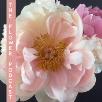The Flower Podcast cover