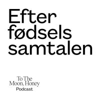 Efterfødselssamtalen cover