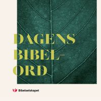 Dagens bibelord fra bibel.no cover