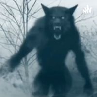 In The Dark (Bigfoot, Dogmen, Aliens, All Things Supernatural) cover