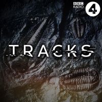 Tracks cover