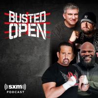 Busted Open cover