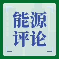 能源评论2021 cover