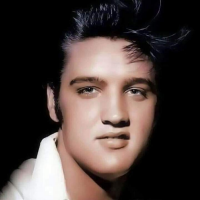 Elvis The Ultimate Fan Channel cover