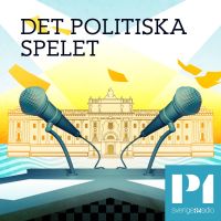 Det politiska spelet cover