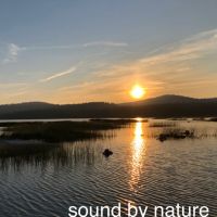 Sound By Nature cover