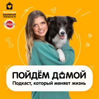 Пойдем домой cover