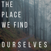The Place We Find Ourselves cover
