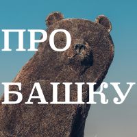 Про Башку cover