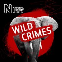 Wild Crimes cover