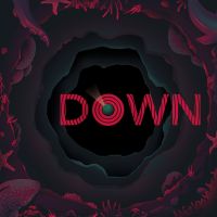 Down cover