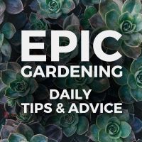 Epic Gardening: Daily Growing Tips and Advice cover