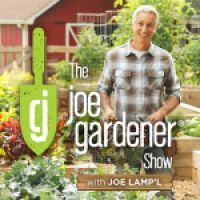 The joe gardener Show - Organic Gardening - Vegetable Gardening - Expert Garden Advice From Joe Lamp'l cover
