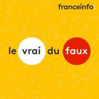 Le vrai du faux cover
