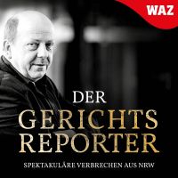 Der Gerichtsreporter cover