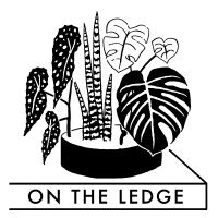 On The Ledge cover