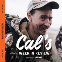 Cal's Week in Review cover