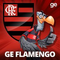 GE Flamengo cover