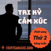 Tri Kỷ Cảm Xúc cover