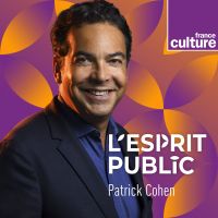 L'esprit public cover