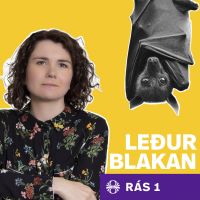 Leðurblakan cover