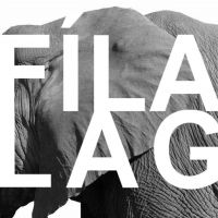 Fílalag cover