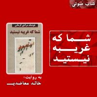 کتاب صوتی شما که غریبه نیستید cover