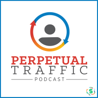 Perpetual Traffic cover