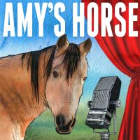 Amy's Horse cover