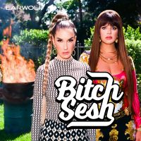 Bitch Sesh: A Real Housewives Breakdown cover