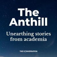 The Anthill cover