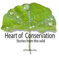 Heart of Conservation cover