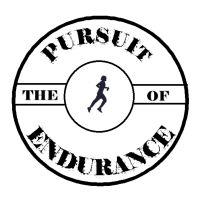 The Pursuit of Endurance cover