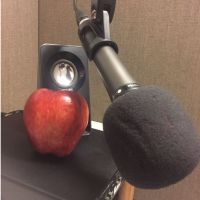 An Apple A Day cover