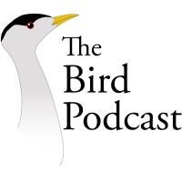 Bird Podcast with Shoba Narayan cover