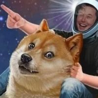 The Crypto Experience cover