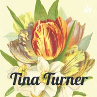 Tina Turner cover