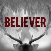 Believer: A Paranormal Mystery cover
