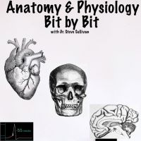 Anatomy and Physiology - Bit by Bit cover