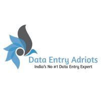 Data Entry Adroits cover