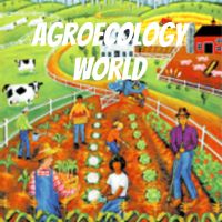 Agroecology World cover