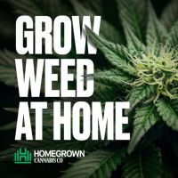Grow Weed at Home with Homegrown Cannabis Co. cover