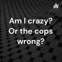 Am I crazy? Or the cops wrong? cover