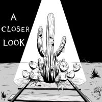 A Closer Look Podcast cover