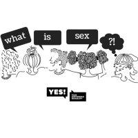 What Is Sex? cover