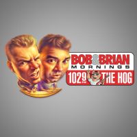 Bob and Brian Podcasts cover