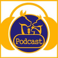 Vet Talk the Veterinary Podcast cover