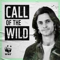 Call Of The Wild cover